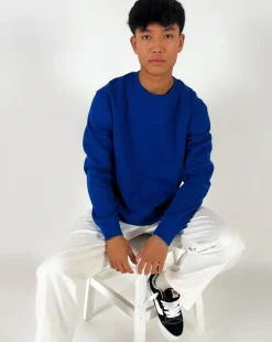 BASIC sweatshirt, kongeblå