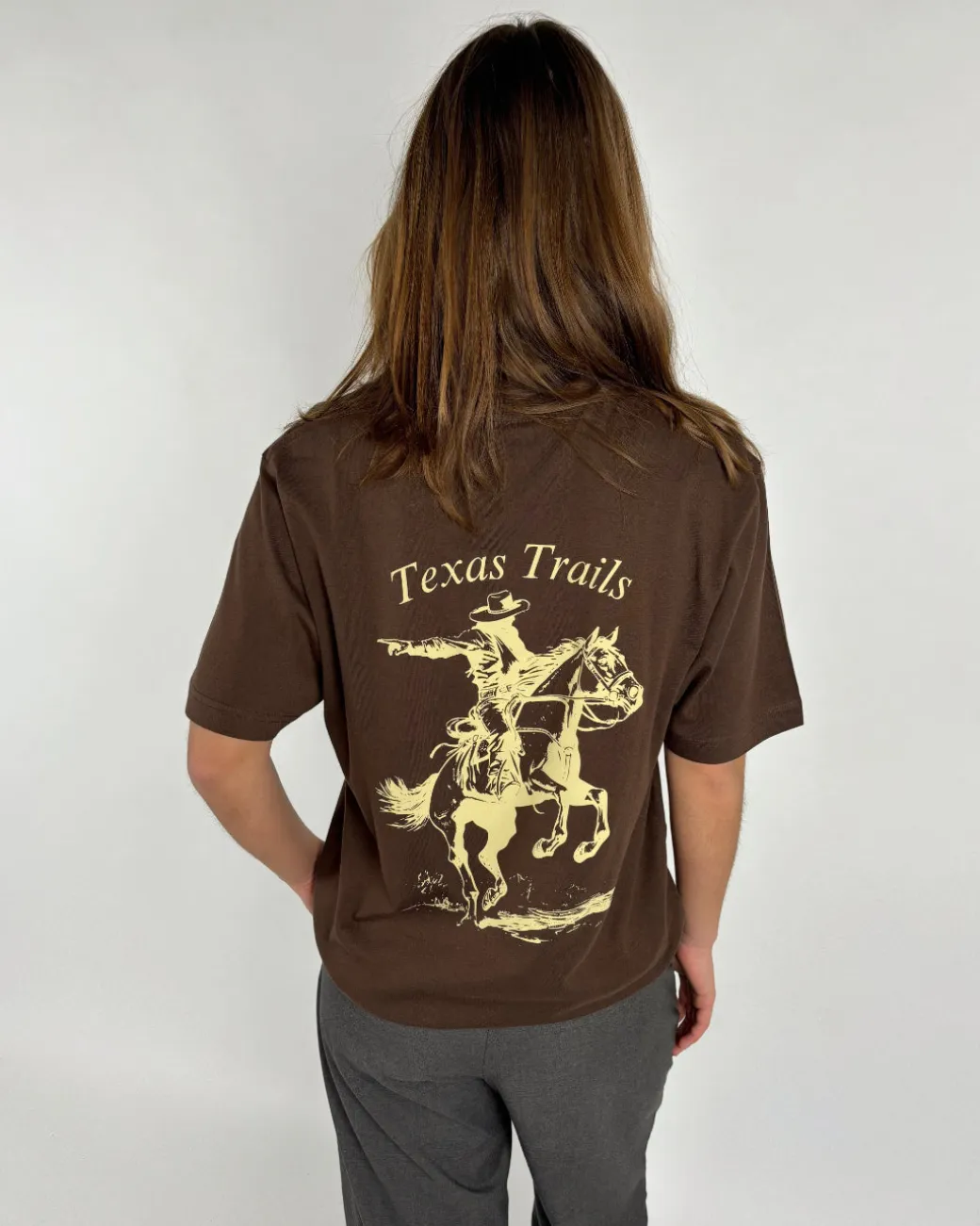 COWBOY t-shirt, brun/beige