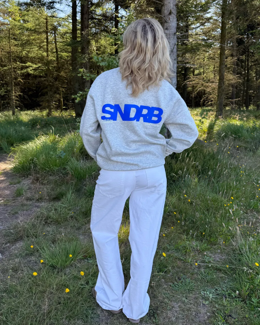 SNDRB sweatshirt, grå/blå